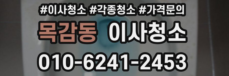 목감동 이사청소