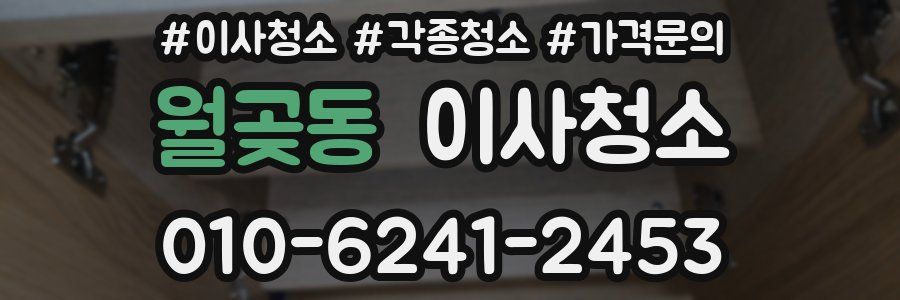 월곶동 이사청소