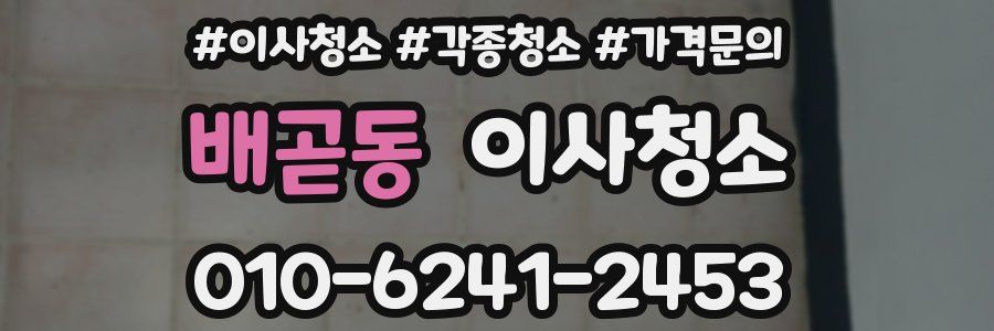 배곧동 이사청소