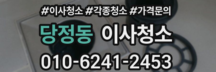 당정동 이사청소