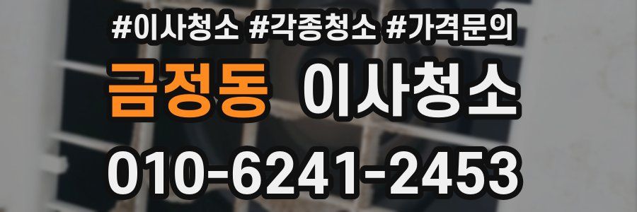 금정동 이사청소