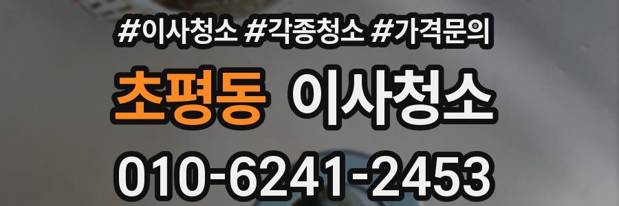 초평동 이사청소