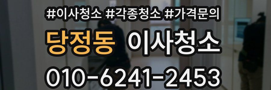 당정동 이사청소