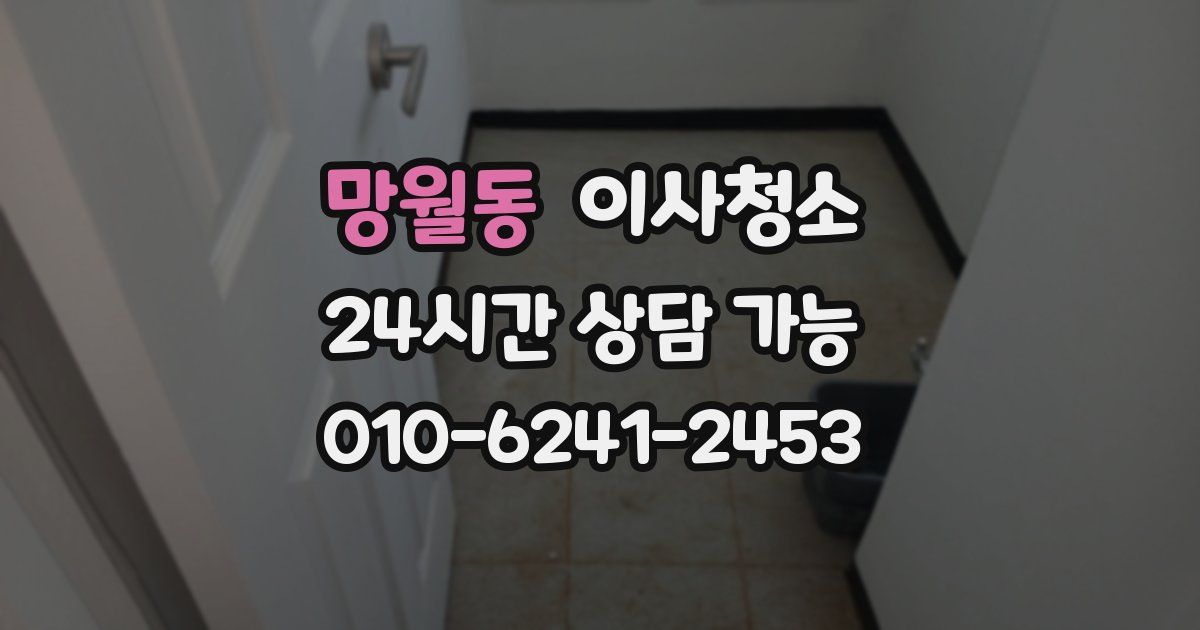 망월동 입주청소