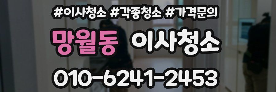 망월동 이사청소