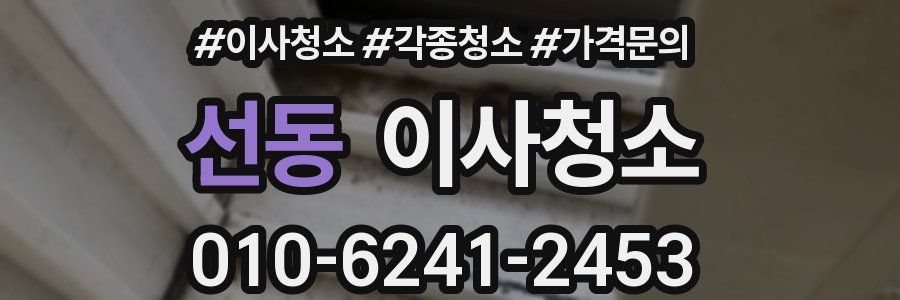선동 이사청소