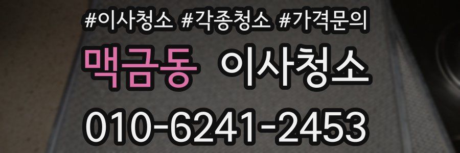 맥금동 이사청소