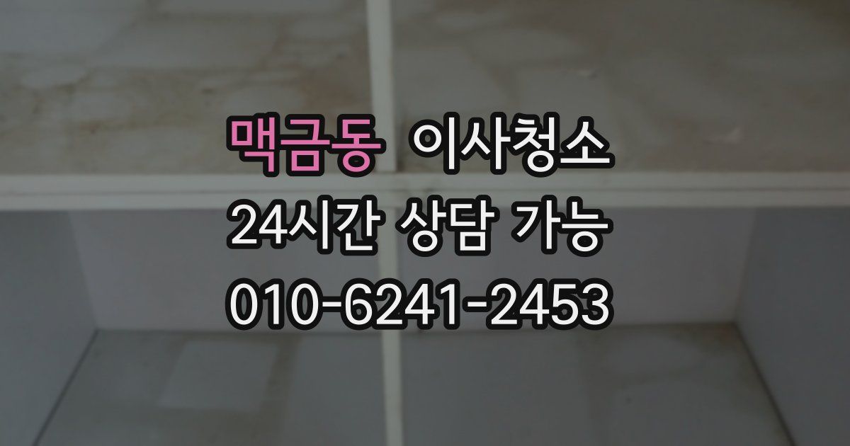 맥금동 입주청소