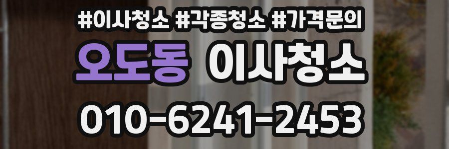 오도동 이사청소