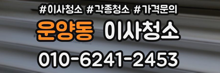 운양동 이사청소