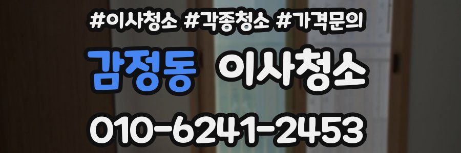 감정동 이사청소