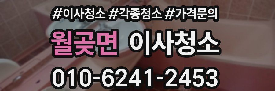 월곶면 이사청소