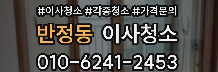 반정동 이사청소