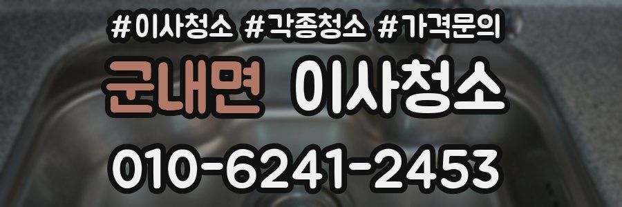 군내면 이사청소