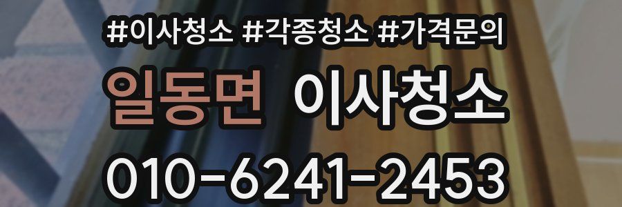 일동면 이사청소