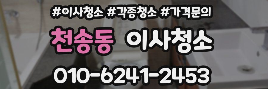 천송동 이사청소