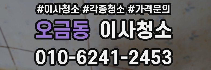 오금동 이사청소