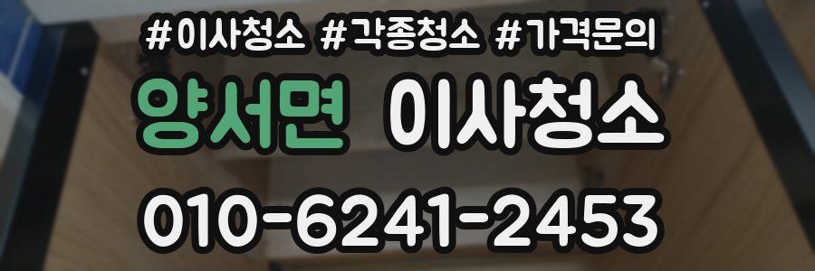 양서면 이사청소