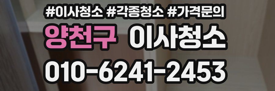 양천구 이사청소