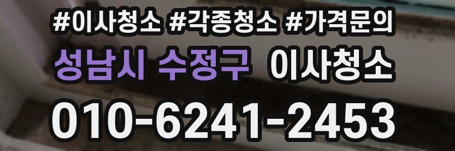 성남시 수정구 이사청소