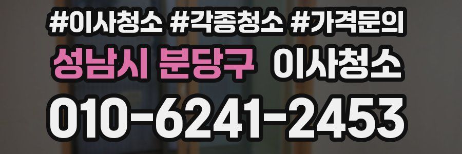 성남시 분당구 이사청소