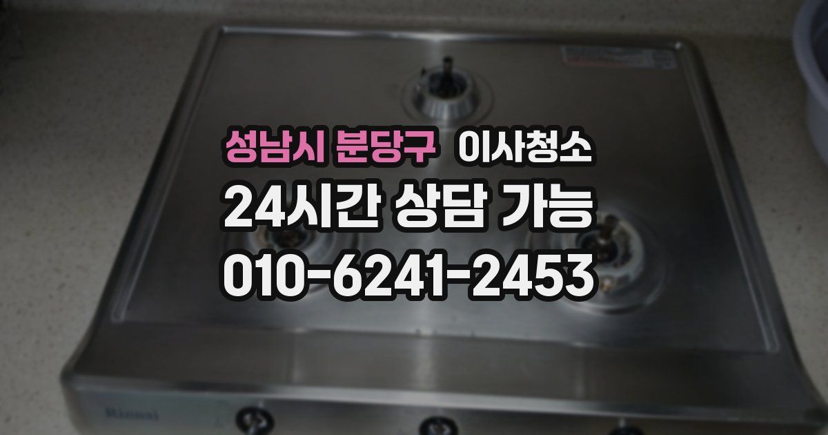 성남시 분당구 입주청소