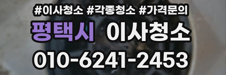 평택시 이사청소