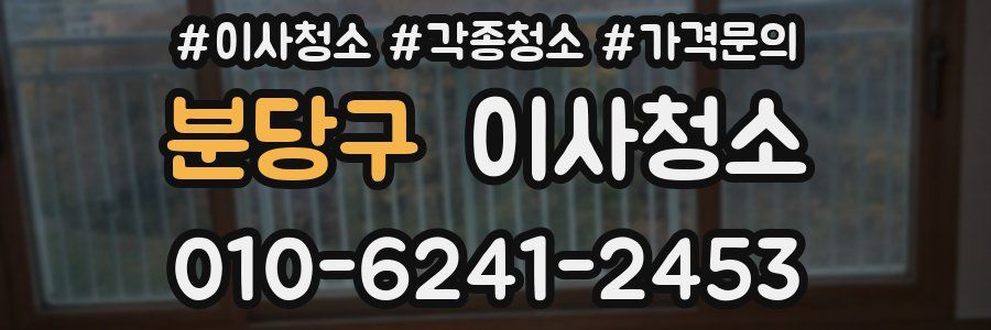 분당구 이사청소