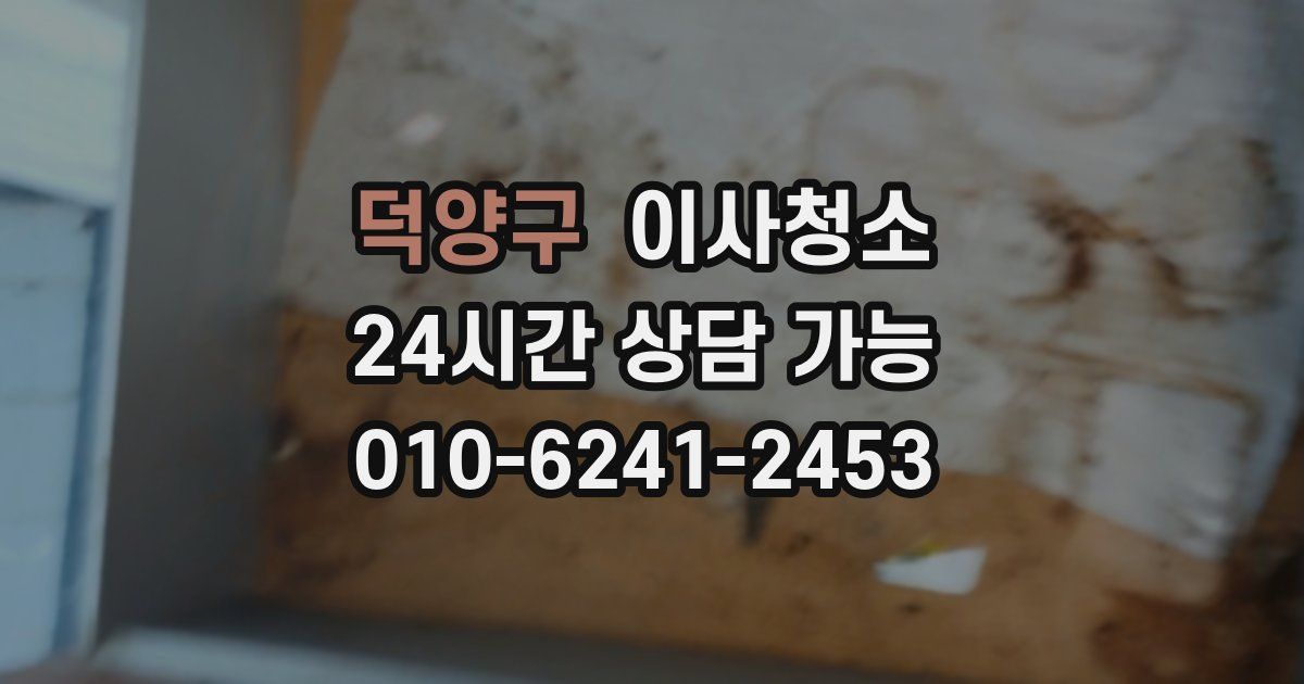 덕양구 입주청소