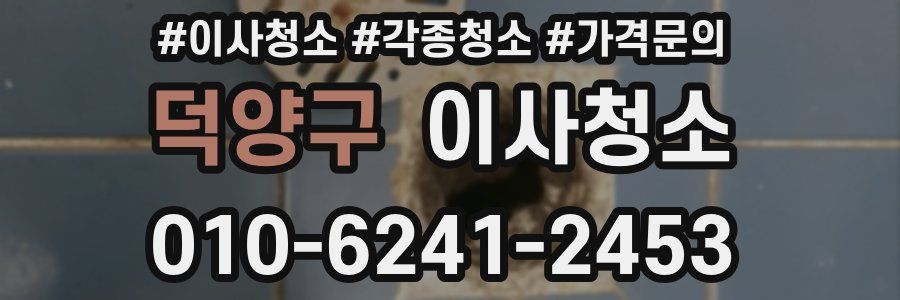 덕양구 이사청소