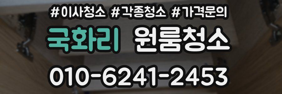 국화리 이사청소