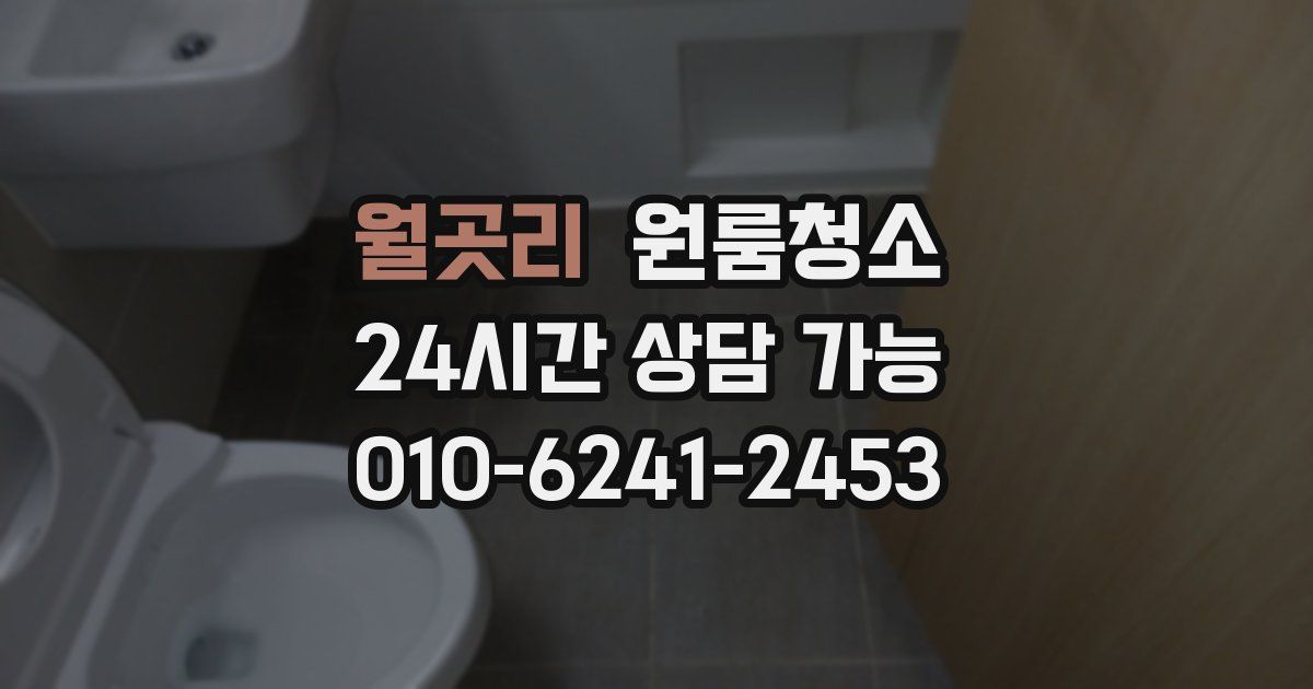 월곳리 입주청소