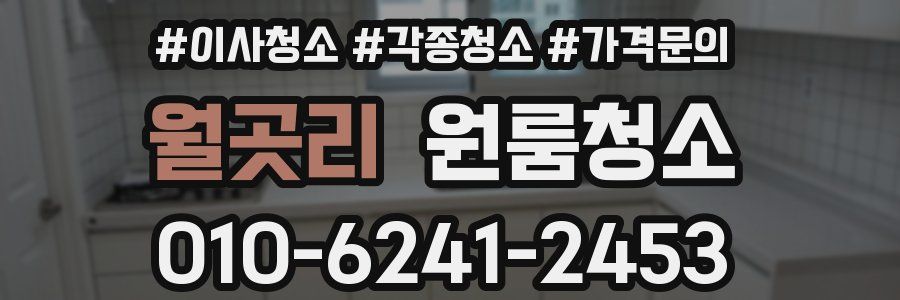 월곳리 이사청소