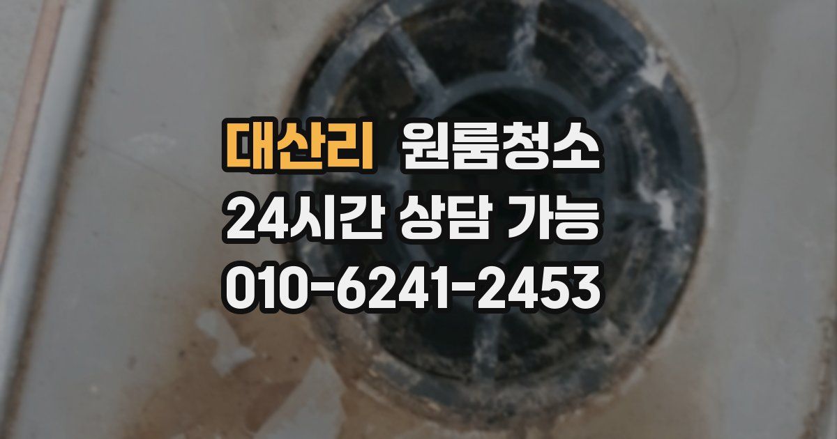 대산리 입주청소