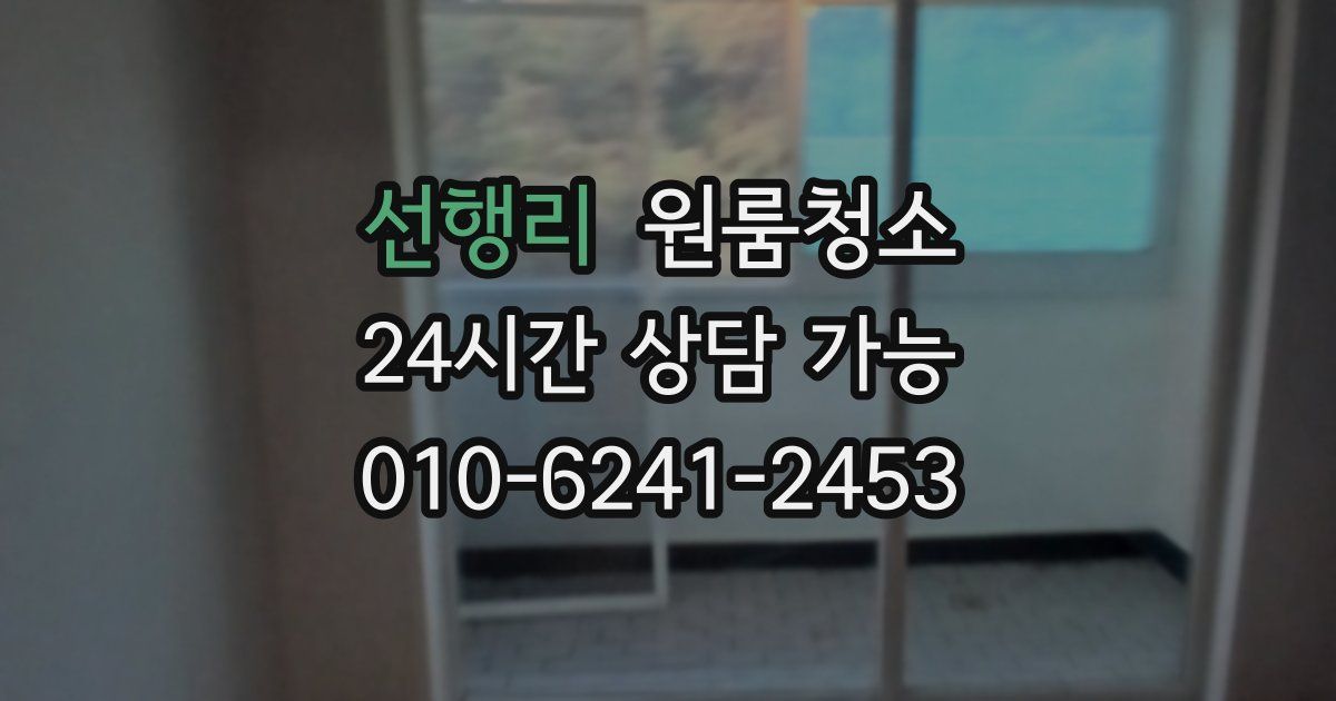 선행리 입주청소