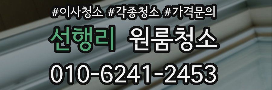 선행리 이사청소