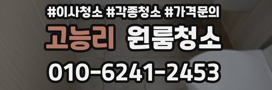 고능리 이사청소