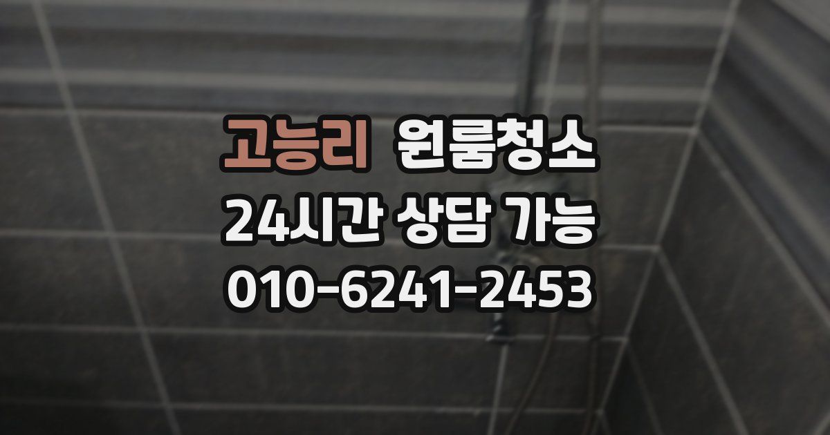 고능리 입주청소