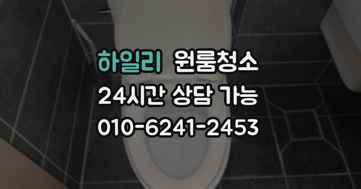 하일리 입주청소