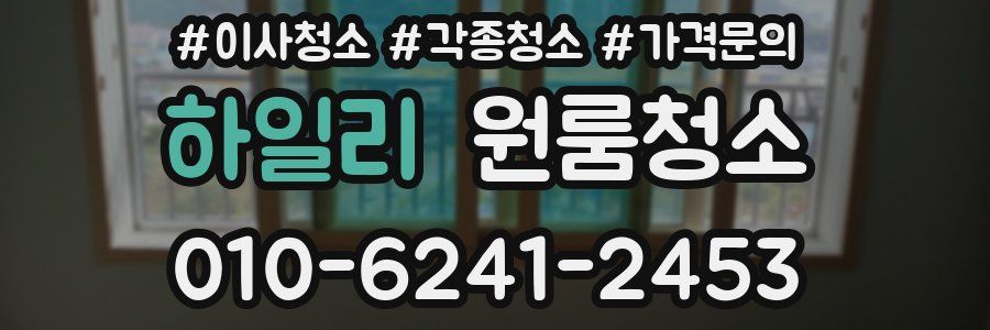 하일리 이사청소