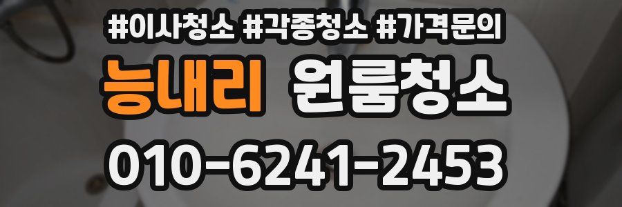 능내리 이사청소