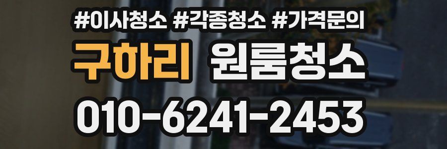 구하리 이사청소