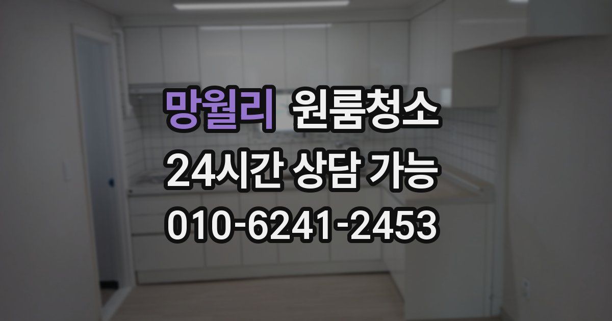 망월리 입주청소