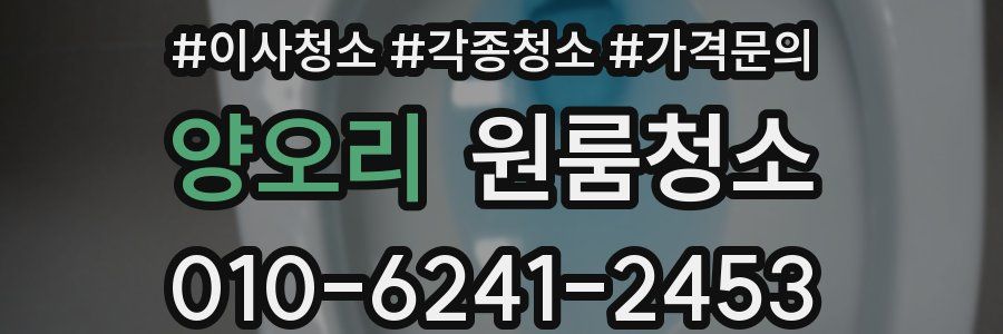 양오리 이사청소