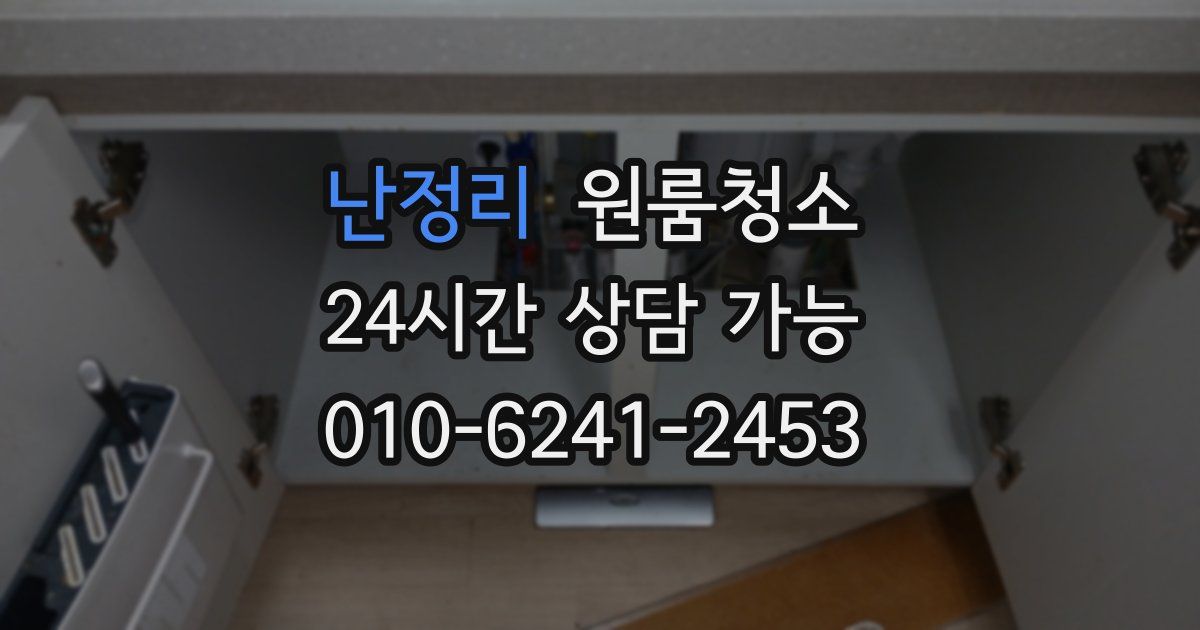 난정리 입주청소