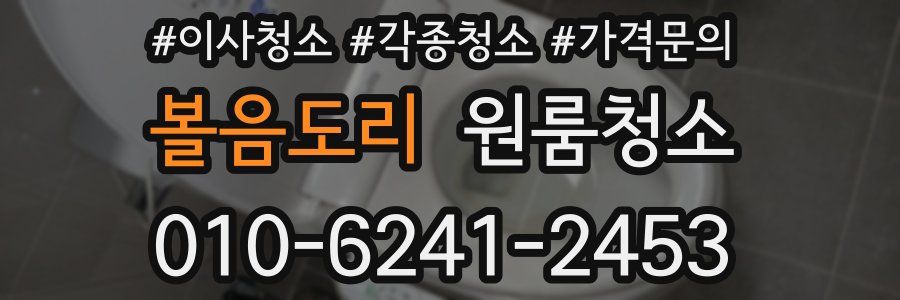 볼음도리 이사청소