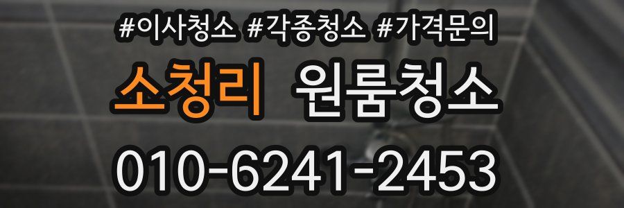 소청리 이사청소