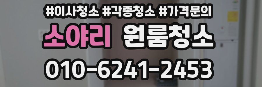 소야리 이사청소