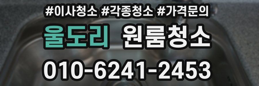 울도리 이사청소