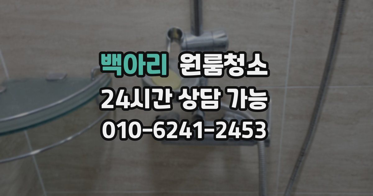 백아리 입주청소